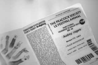 IMG_1574.JPG_effected-001