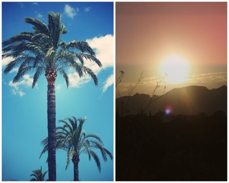 kirstin blog post 12