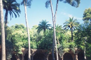 IMG_0012.JPG_effected