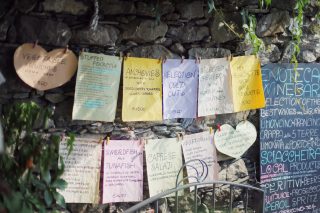 IMG_5331.JPG_effected